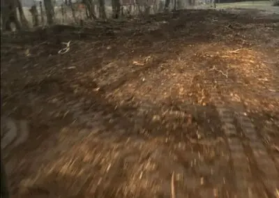 A cleared, freshly graded dirt and woodchip area in a wooded yard after professional tree removal and stump grinding, showing smooth grading and cleanup for a Waterloo, IA property