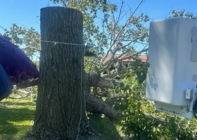 Large oak trunk with climbing rope and cut branches lying on grass next to utility equipment, showing professional tree removal and cleanup work for residential property in Waterloo, IA
