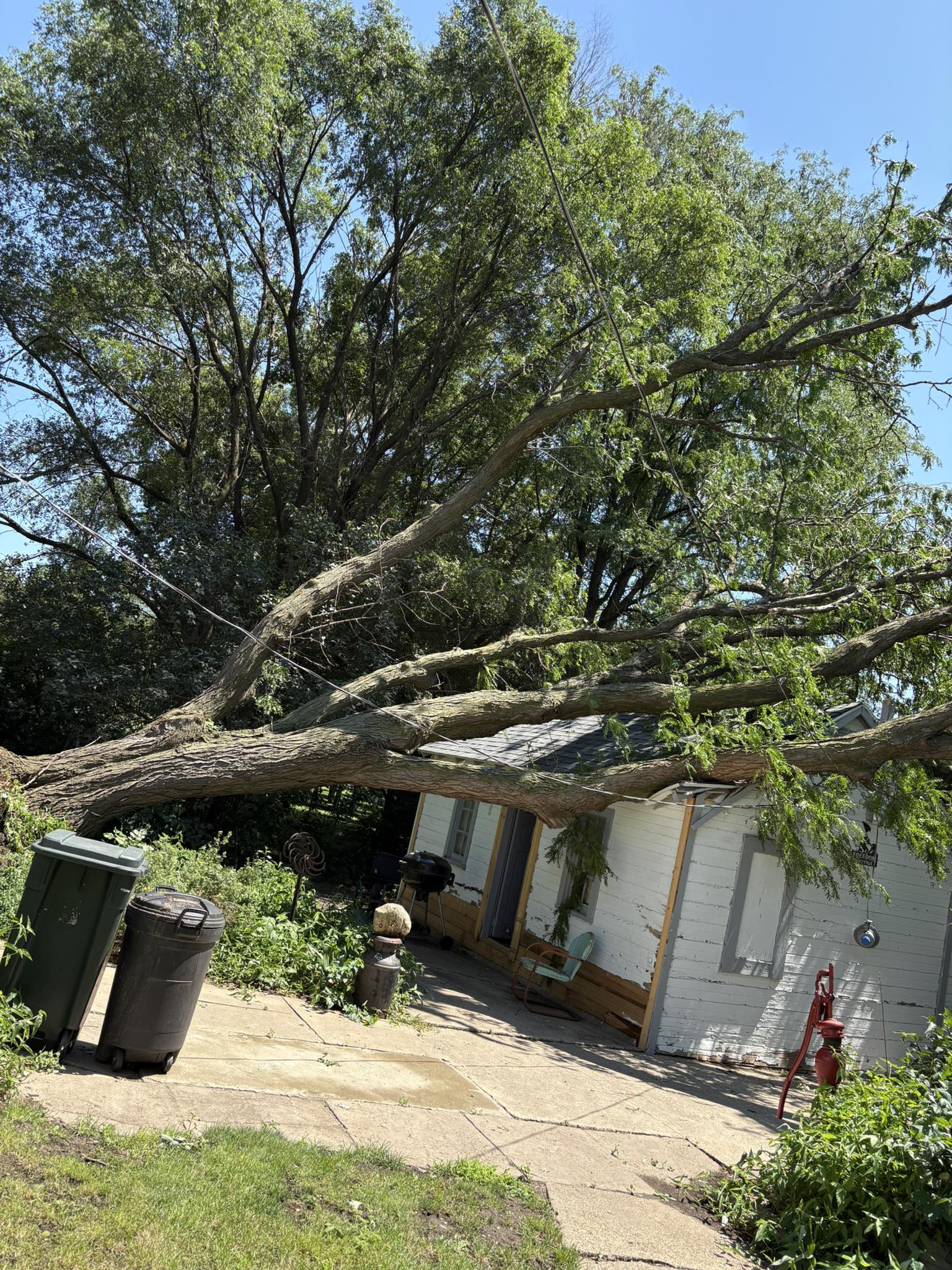 Large fallen oak limb leaning on a small white backyard shed and porch, blocking a concrete patio with trash cans and scattered branches, showing storm-damaged tree requiring professional tree removal and property cleanup in Waterloo, IA